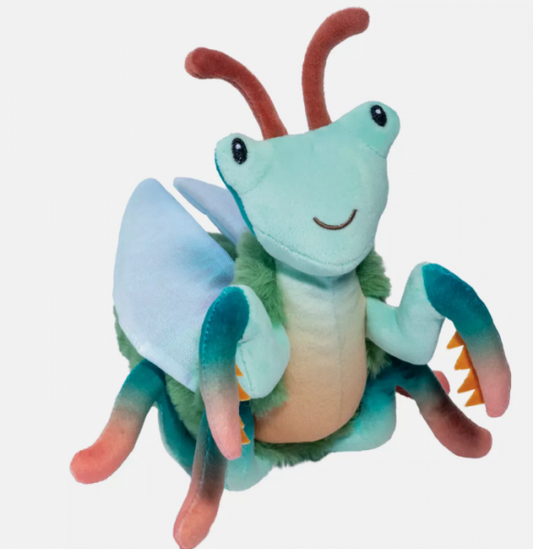 MICAH PRAYING MANTIS