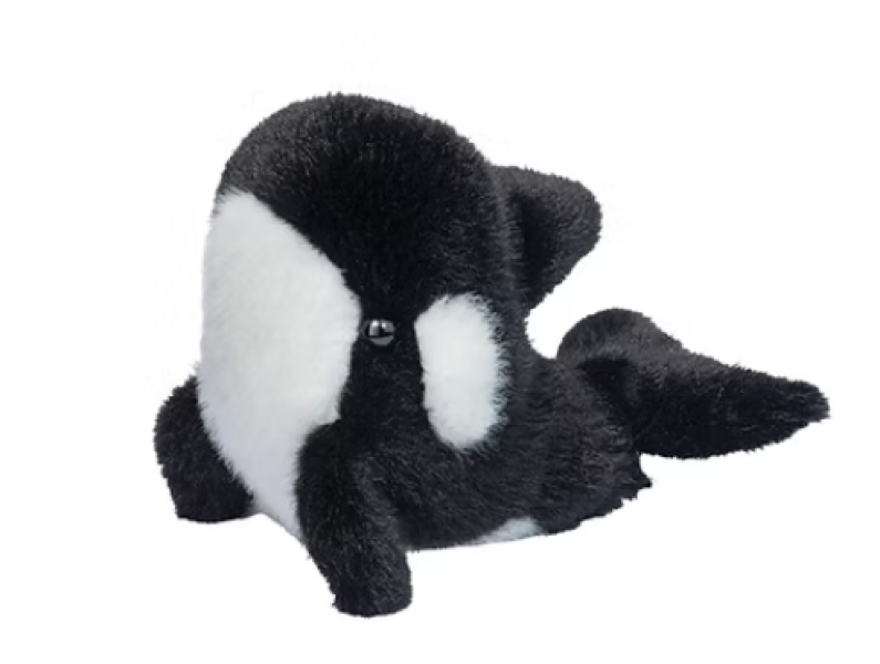 LIL' BABY ORCA WHALE