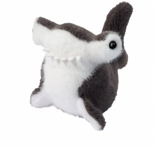 LIL' BABY HAMMERHEAD SHARK