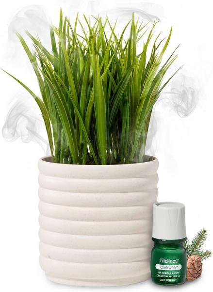 LIFELINES PLANT DIFFUSER GRASS – Launching Success