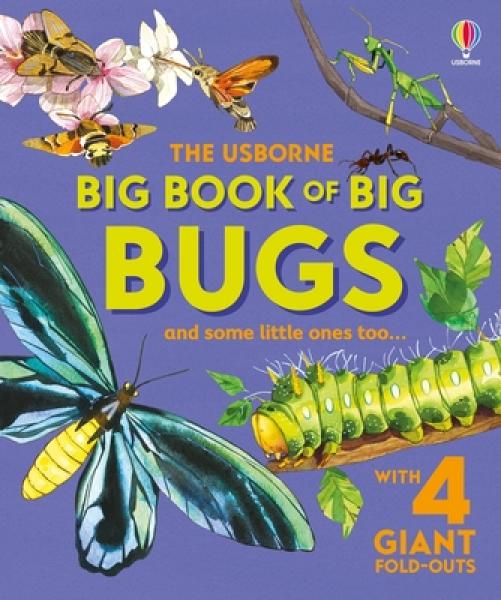 BIG BOOK OF BIG BUGS AND SOME LITTLE ONES TOO...
