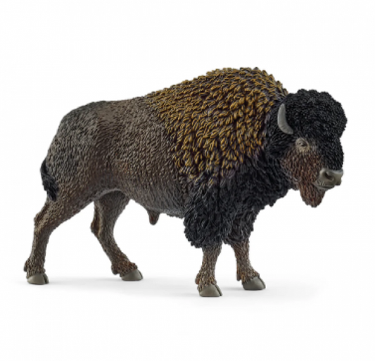 BISON