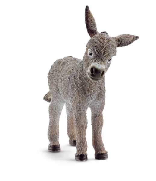 DONKEY FOAL