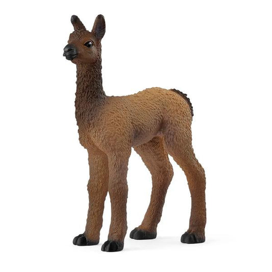 LLAMA FOAL