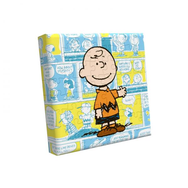 MINI CANVAS PUZZLE: PEANUTS CHARLIE BROWN