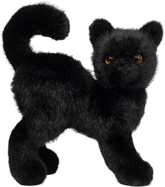 SCAREDY BLACK CAT