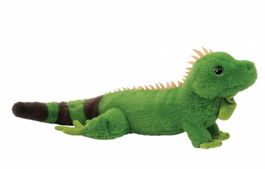 BUDDIE IGUANA