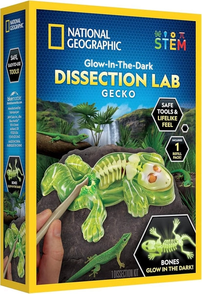 NATIONAL GEOGRAPHIC GLOW-IN-THE-DARK DISSECTION LAB GECKO
