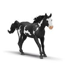 PAINT HORSE GELDING