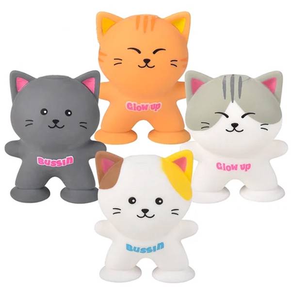 SUCTION SQUEEZE CAT