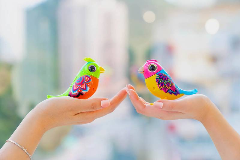 DIGIBIRDS SINGLE