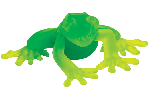 COLOR MORPH FROGGY SQUISHY ASSORTED