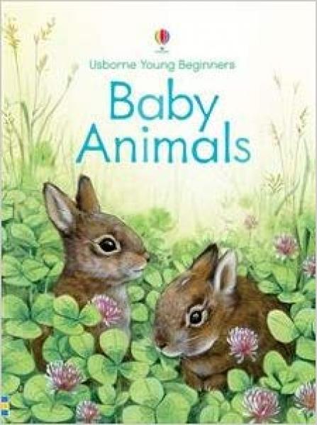 YOUNG BEGINNERS BABY ANIMALS