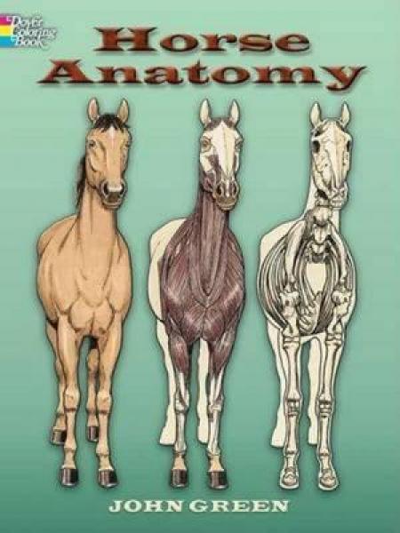 COLORING BOOK: HORSE ANATOMY