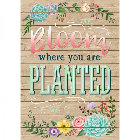 POSTER: BLOOM WHERE YOU ARE PLANTED