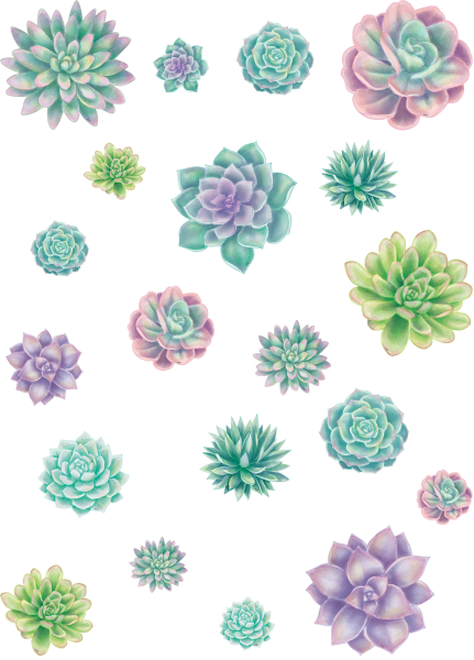 ACCENTS: RUSTIC BLOOM SUCCULENTS