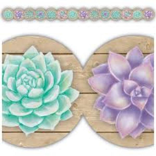 BORDER: SUCCULENTS RUSTIC BLOOM