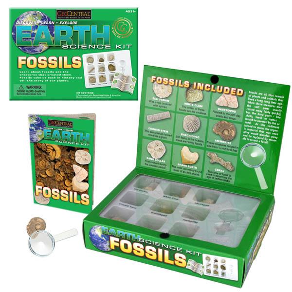 EARTH SCIENCE KIT FOSSILS