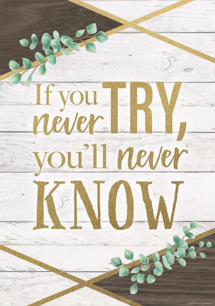 POSTER: IF YOU NEVER TRY, YOU'LL NEVER KNOW