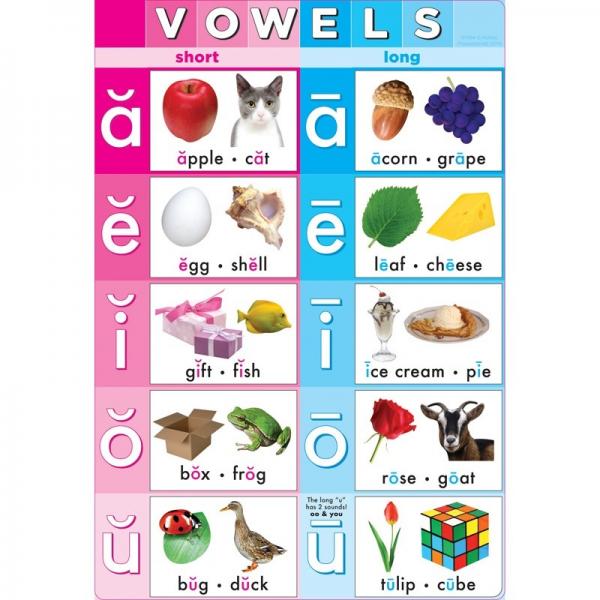 SMART POLY CHART: VOWELS