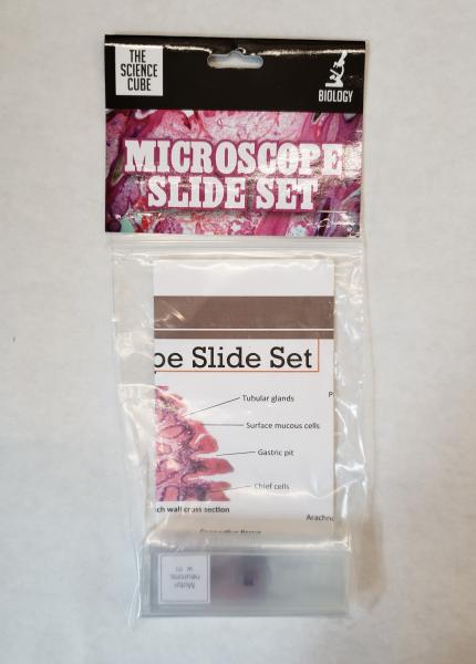 PREPARED MICROSCOPE SLIDE SET