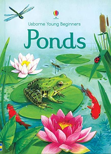 YOUNG BEGINNERS PONDS