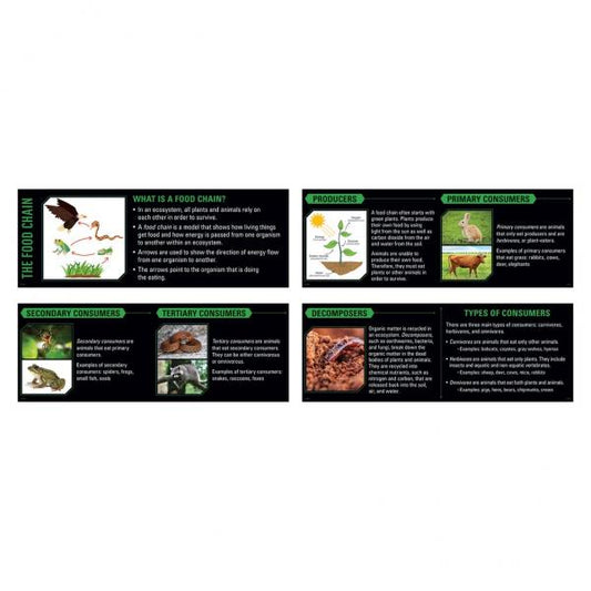 WHITEBOARD TOPPER: ECOSYSTEMS