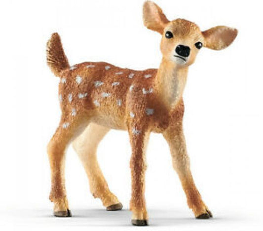 WHITE-TAILED FAWN