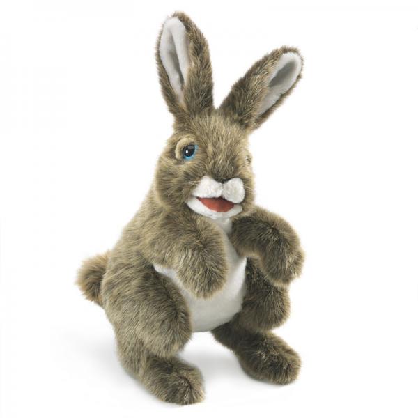 PUPPET: HARE