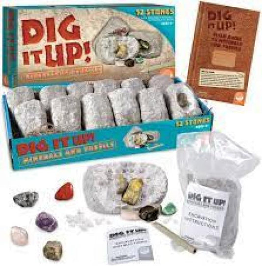 DIG IT UP! MINERALS AND FOSSILS SET OF 12