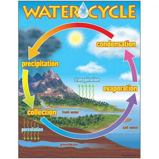 CHART: WATER CYCLE