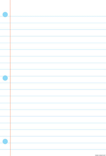 SMART POLY CHART: NOTEBOOK PAGE 13 X 19