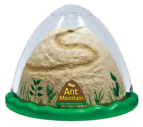 ANT MOUNTAIN