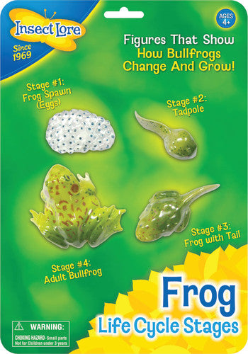 LIFE CYCLE STAGES: FROG